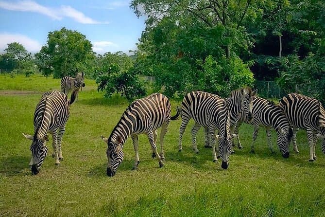 Ghana wildlife and nature tours