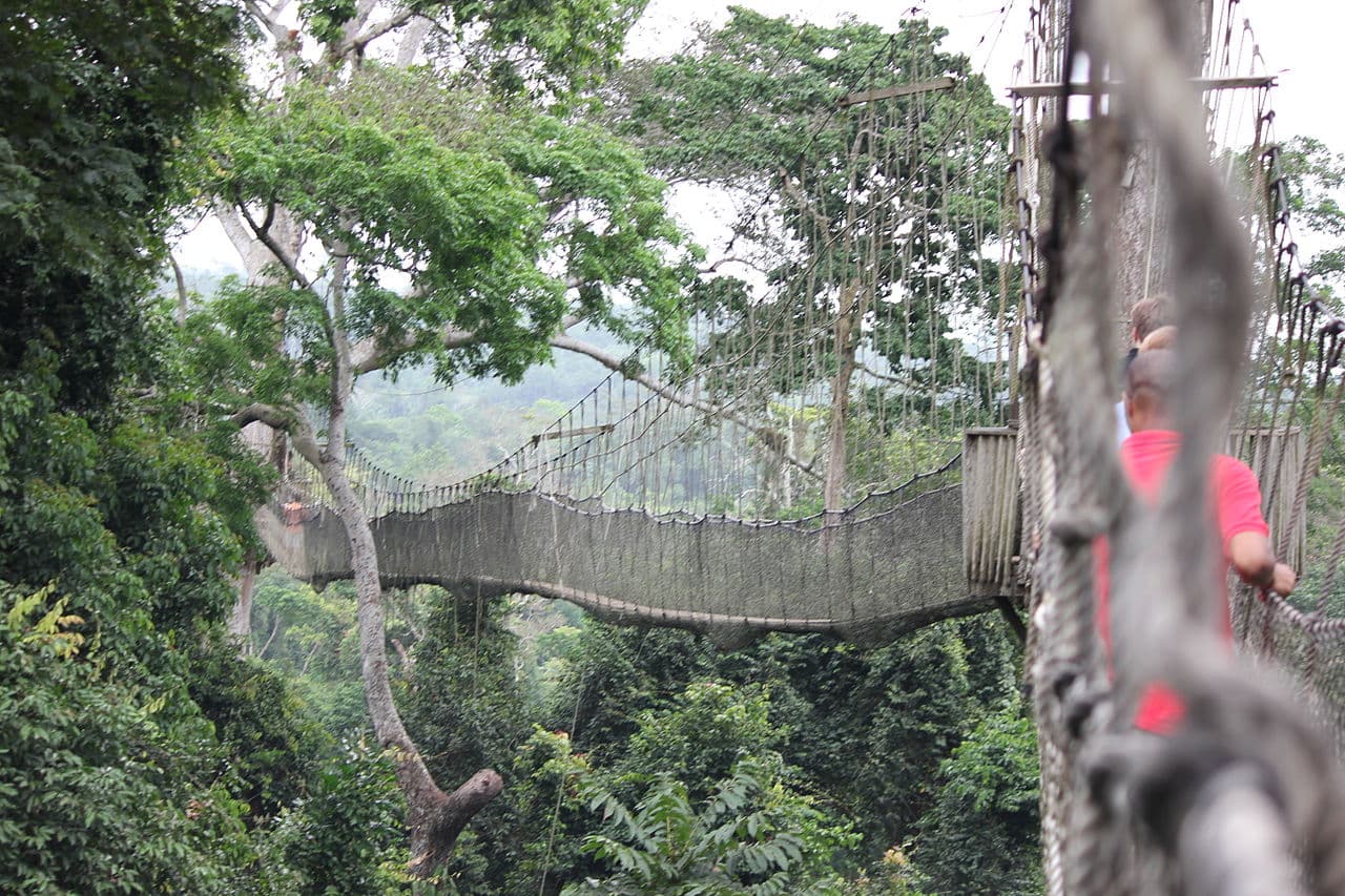 Kakum National Park canopy walkway